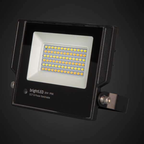 Colour & Power Switchable Floodlight 30W