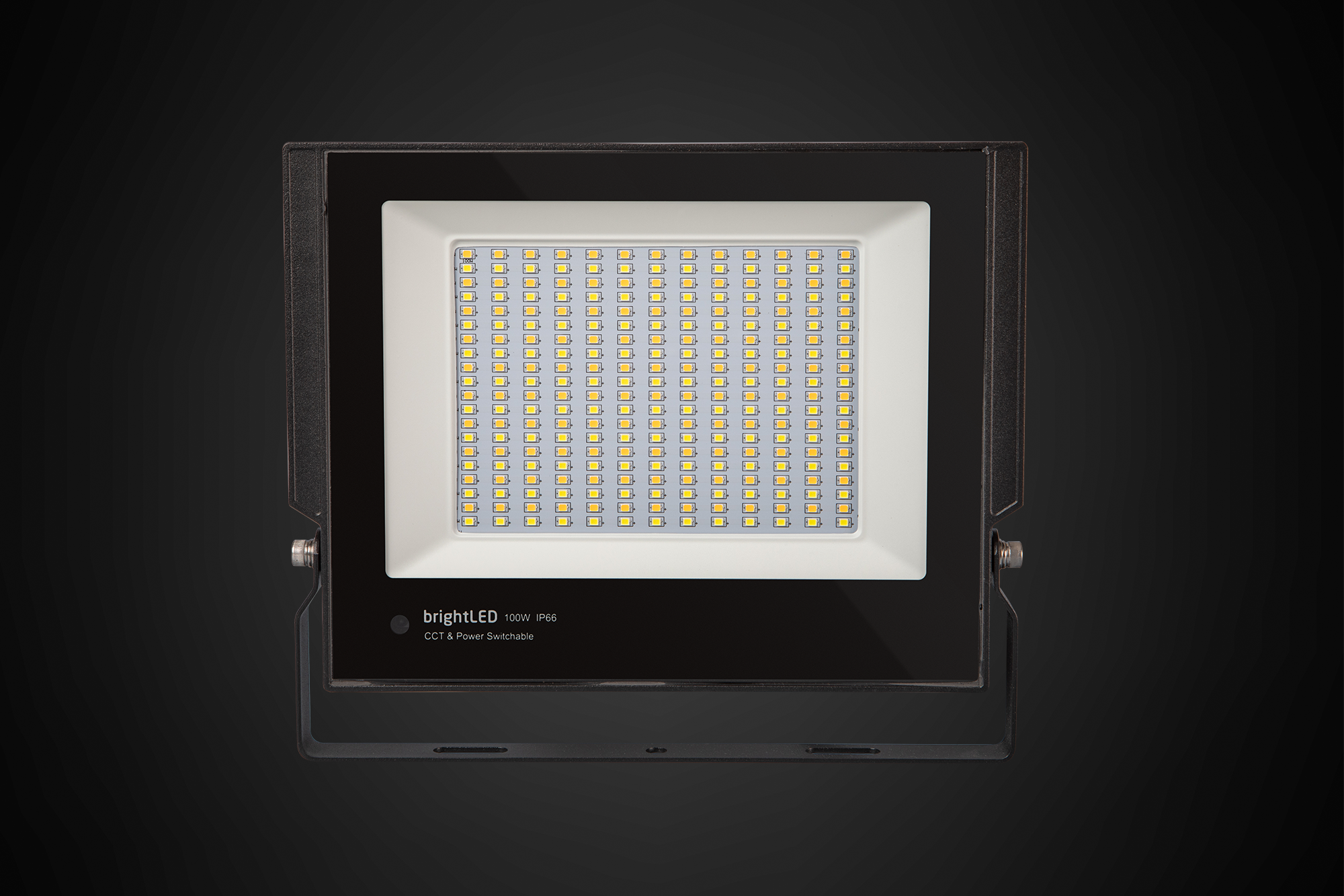 Colour & Power Switchable Floodlight 100W